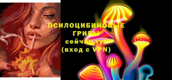 сатива Вязьма