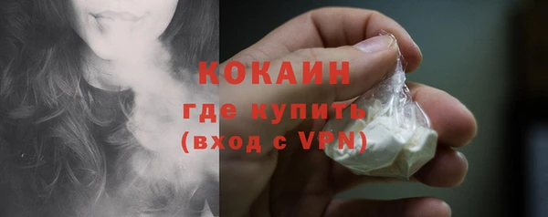 сатива Вязьма