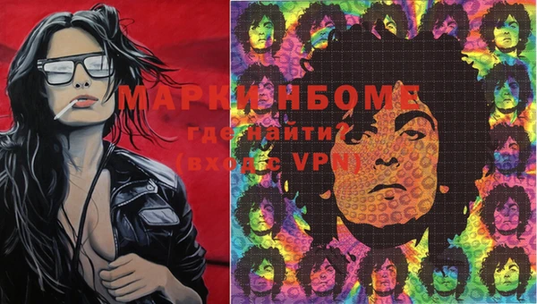 сатива Вязьма