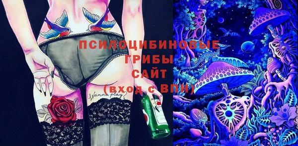 прущий лед Горняк