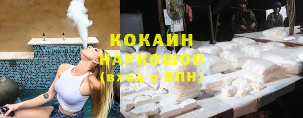 сатива Вязьма