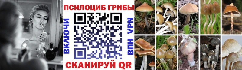 hydra вход  Дербент  Галлюциногенные грибы MAGIC MUSHROOMS 